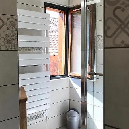 La Petite Venise Apartment Colmar