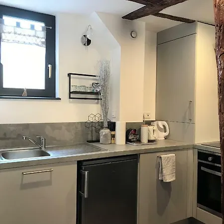 La Petite Venise Apartman Colmar